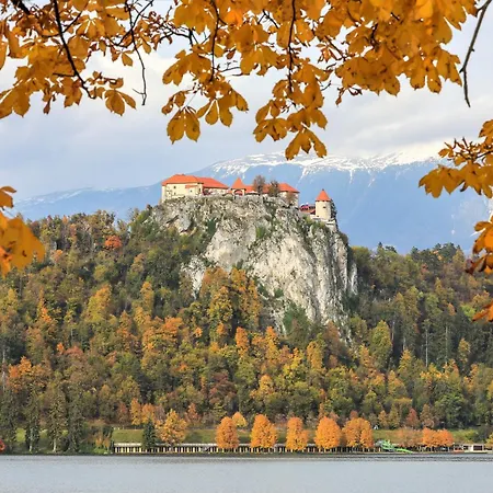 Pr Fajfarju Апартаменты *