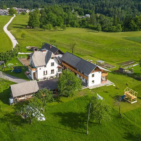 Pr Fajfarju Апартаменты