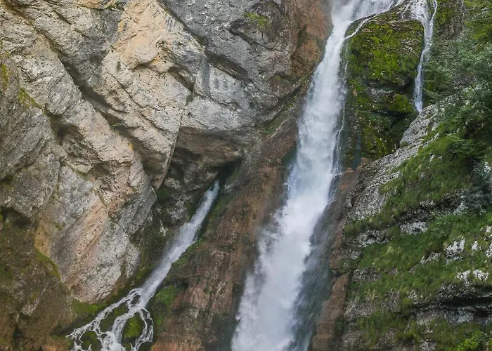 Pr Fajfarju アパート ブレッド