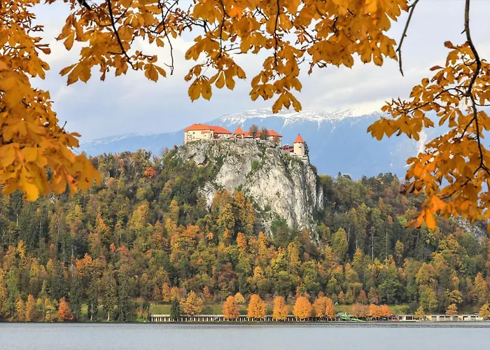 Pr Fajfarju アパート *