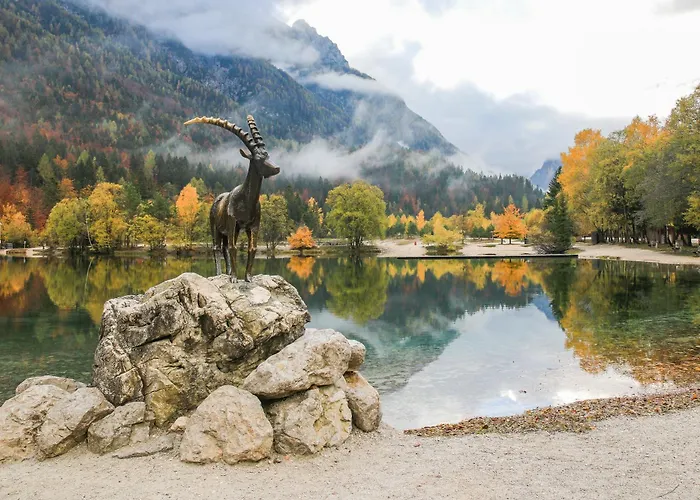 Pr Fajfarju ブレッド